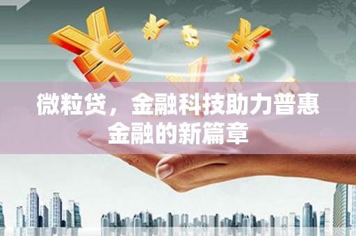 启东微粒贷，金融科技助力普惠金融的新篇章