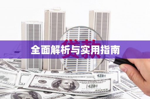 启东全面解析与实用指南