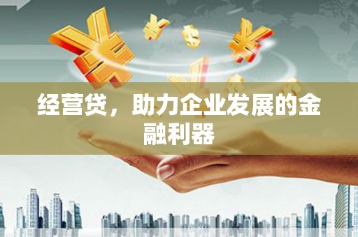 启东经营贷，助力企业发展的金融利器