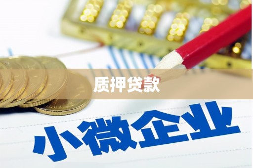 启东质押贷款