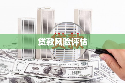 启东贷款风险评估
