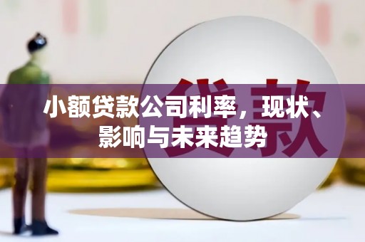 启东小额贷款公司利率，现状、影响与未来趋势