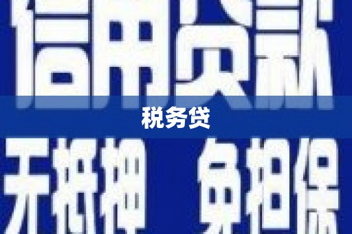 启东税务贷