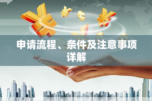 启东申请流程、条件及注意事项详解