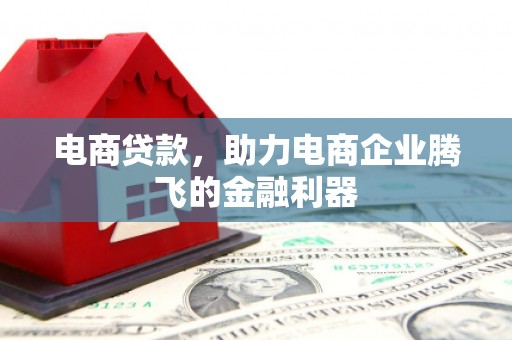 启东电商贷款，助力电商企业腾飞的金融利器
