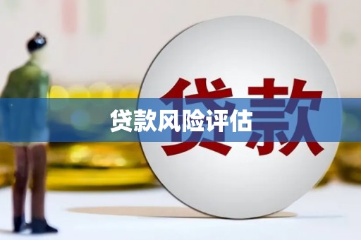 启东贷款风险评估
