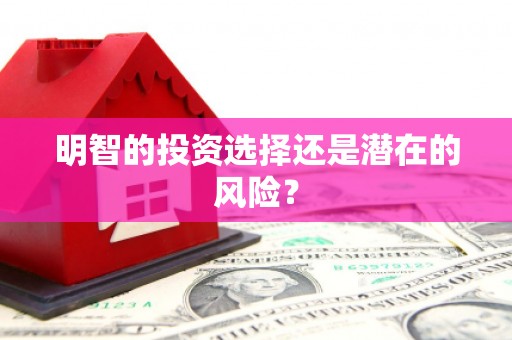 启东明智的投资选择还是潜在的风险？
