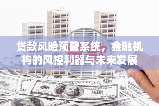 启东贷款风险预警系统，金融机构的风控利器与未来发展