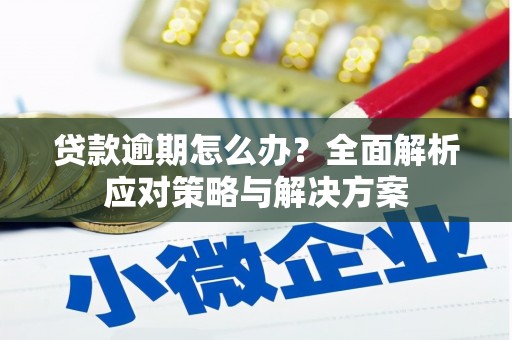 启东贷款逾期怎么办？全面解析应对策略与解决方案
