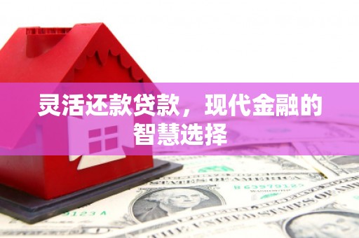 启东灵活还款贷款，现代金融的智慧选择