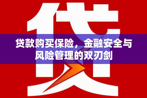 启东贷款购买保险，金融安全与风险管理的双刃剑