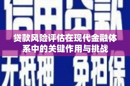 启东贷款风险评估在现代金融体系中的关键作用与挑战