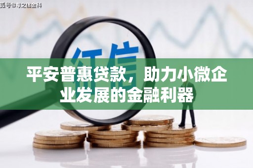 启东平安普惠贷款，助力小微企业发展的金融利器
