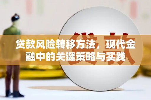 启东贷款风险转移方法，现代金融中的关键策略与实践