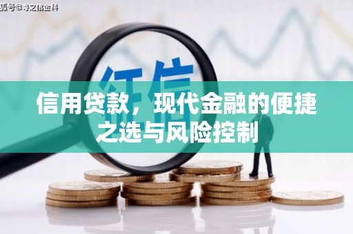 启东信用贷款，现代金融的便捷之选与风险控制