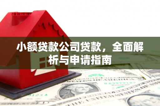 启东小额贷款公司贷款，全面解析与申请指南