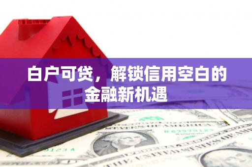 启东白户可贷，解锁信用空白的金融新机遇