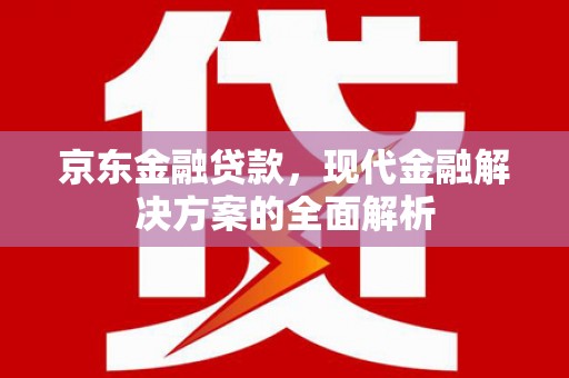 启东京东金融贷款，现代金融解决方案的全面解析