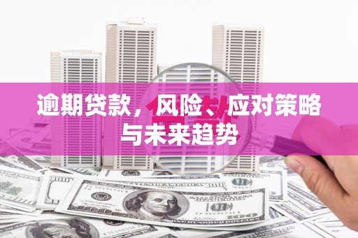 启东逾期贷款，风险、应对策略与未来趋势