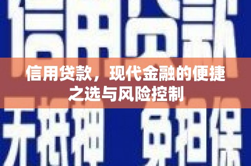 启东信用贷款，现代金融的便捷之选与风险控制