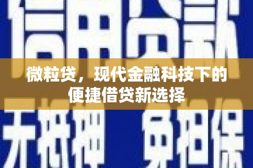 启东微粒贷，现代金融科技下的便捷借贷新选择