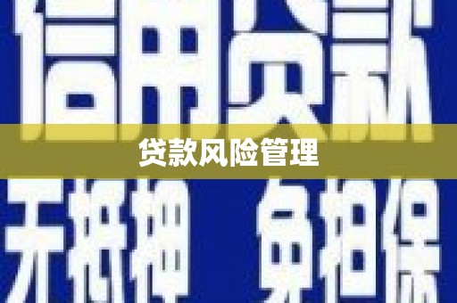 启东贷款风险管理