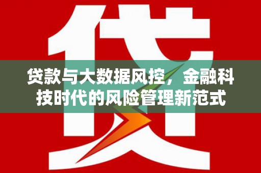 启东贷款与大数据风控，金融科技时代的风险管理新范式