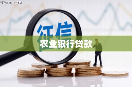 启东农业银行贷款