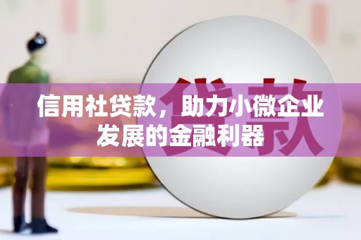 启东信用社贷款，助力小微企业发展的金融利器