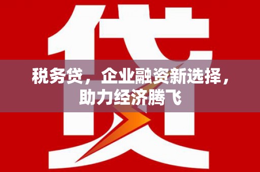 启东税务贷，企业融资新选择，助力经济腾飞