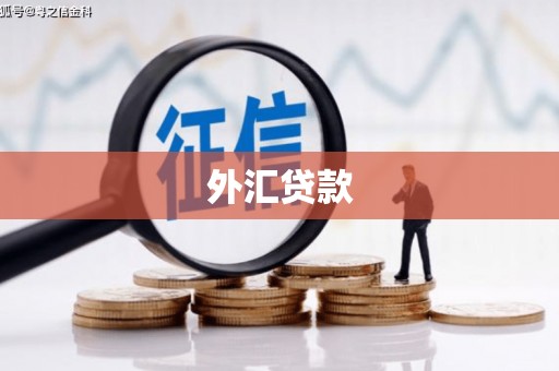 启东外汇贷款