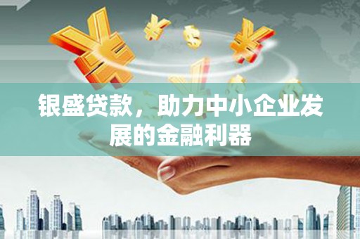 启东银盛贷款，助力中小企业发展的金融利器