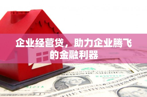启东企业经营贷，助力企业腾飞的金融利器