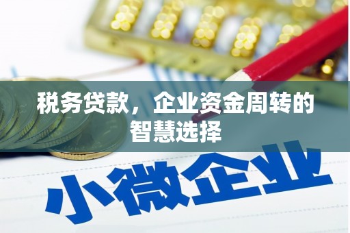 启东税务贷款，企业资金周转的智慧选择