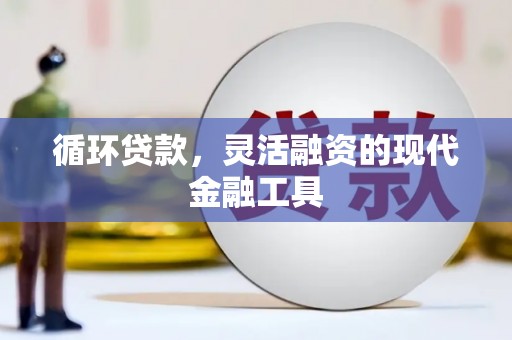 启东循环贷款，灵活融资的现代金融工具