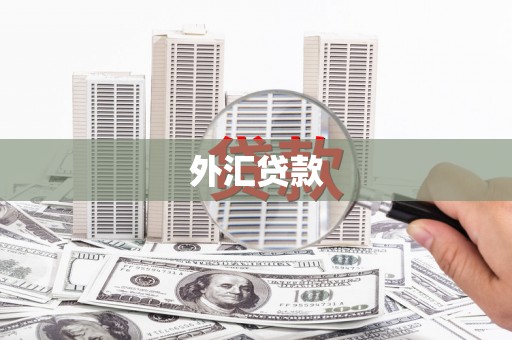 启东外汇贷款