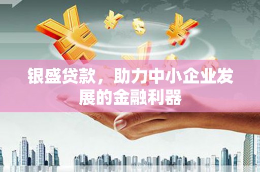 启东银盛贷款，助力中小企业发展的金融利器