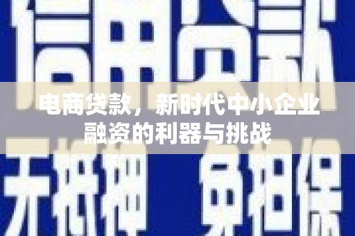 启东电商贷款，新时代中小企业融资的利器与挑战
