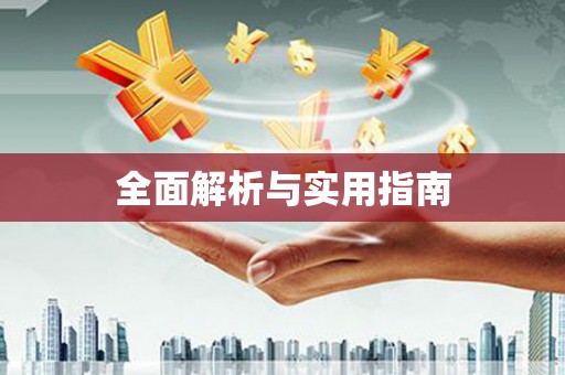 启东全面解析与实用指南