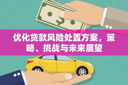 启东优化贷款风险处置方案，策略、挑战与未来展望