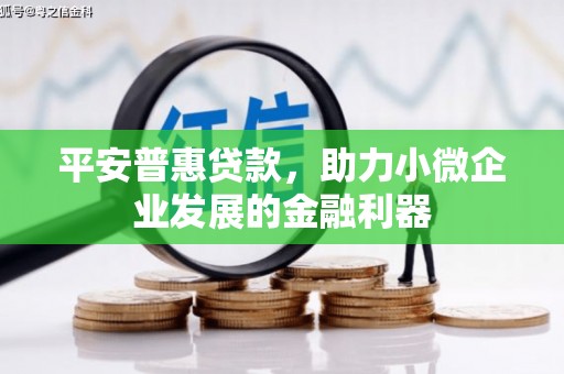 启东平安普惠贷款，助力小微企业发展的金融利器