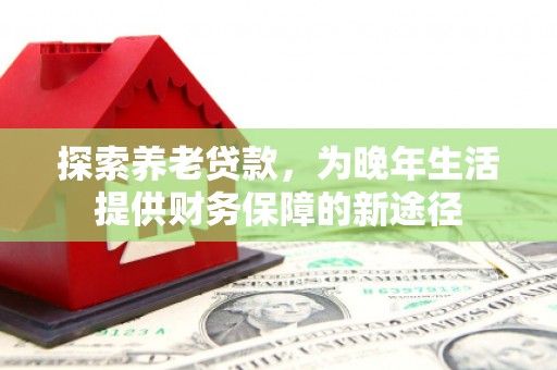 启东探索养老贷款，为晚年生活提供财务保障的新途径