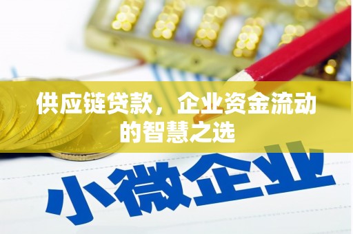 启东供应链贷款，企业资金流动的智慧之选