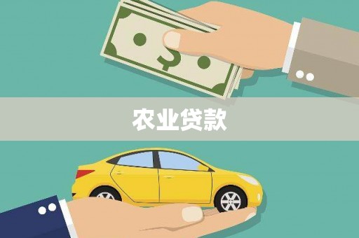 启东农业贷款