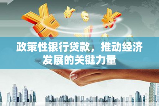 启东政策性银行贷款，推动经济发展的关键力量