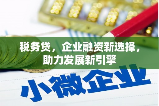 启东税务贷，企业融资新选择，助力发展新引擎