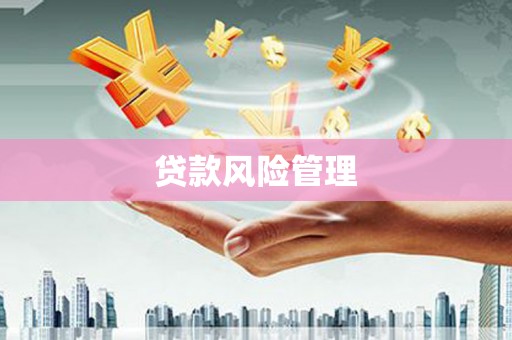 启东贷款风险管理