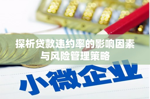 启东探析贷款违约率的影响因素与风险管理策略