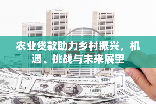 启东农业贷款助力乡村振兴，机遇、挑战与未来展望