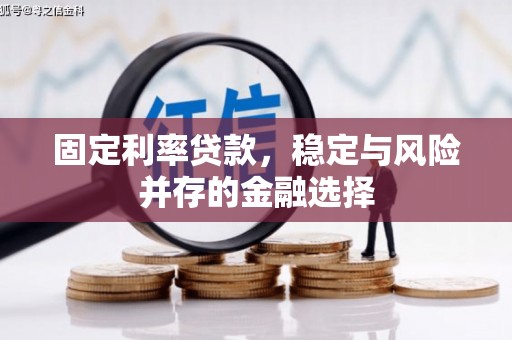 启东固定利率贷款，稳定与风险并存的金融选择